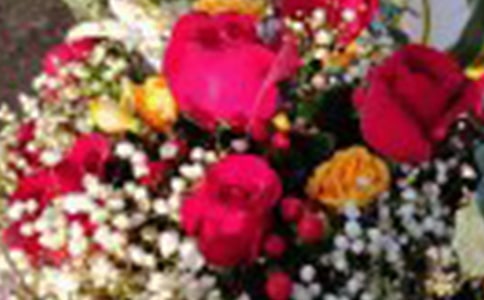 ������Կ���õ�廨��Ժ�ӽ̰�