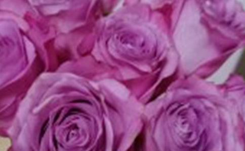 �����е�õ������