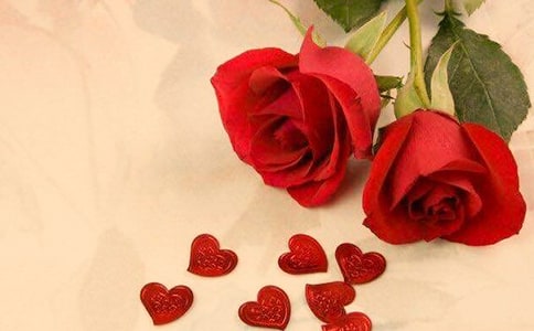 ��С¹��õ�廨���̰�����