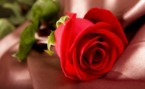 夜莺与玫瑰读后感