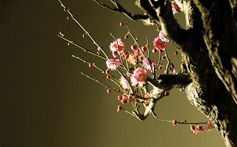 ÷�������л��15ƪ