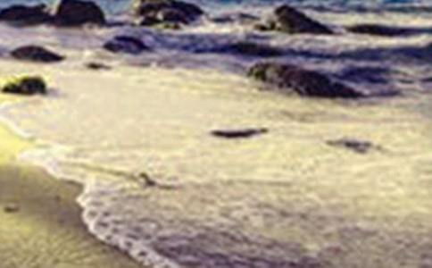 ���������������δ�ͨ��