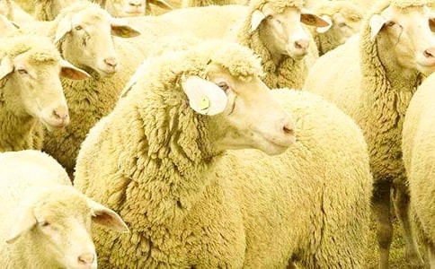 �а�С���������˽̰�