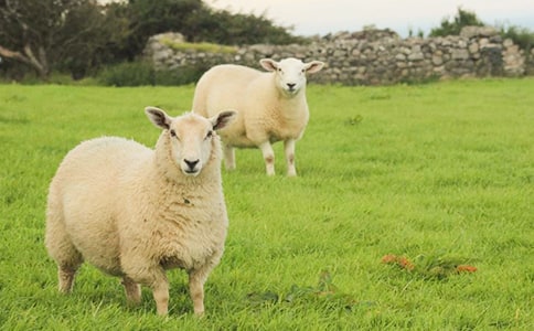 ���������С���򡷶����