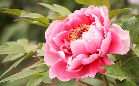 ����ĵ�����δ�10ƪ