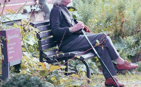 ���̰�ʮ�����´�