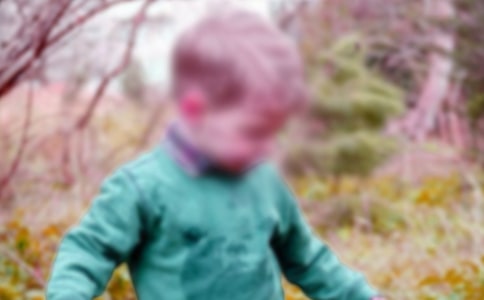 ���漣�к����ۺ�С�����15ƪ��