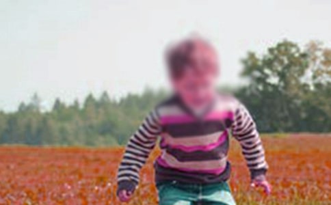 �����ָ��к����и�(15ƪ)