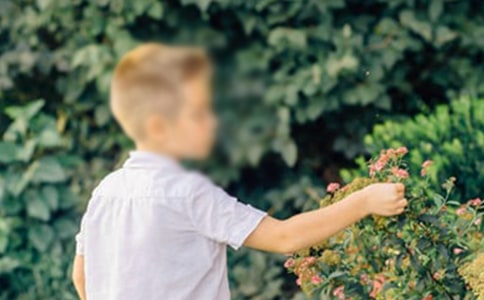 ���ϼ�����С���к��������9ƪ