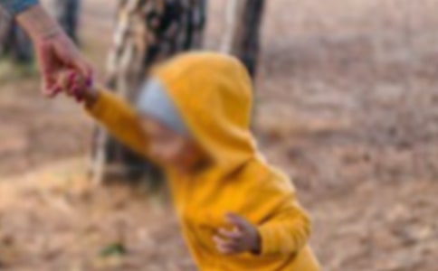 �������к��������