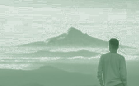 �����Ǽҵ����Ӻ����̰�(15ƪ)