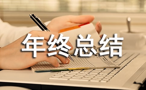 2021�������������ܽ᷶��