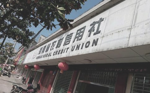 农村信用社工作计划