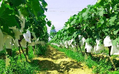 ũ�������޺�ͬ