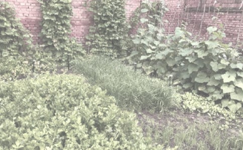 ũ����������ͬ15ƪ