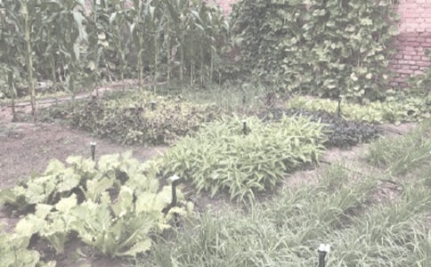 ����ũ�����ֺ�ͬ��ƪ