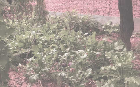 ũ�����ֺ�ͬ������ƪ