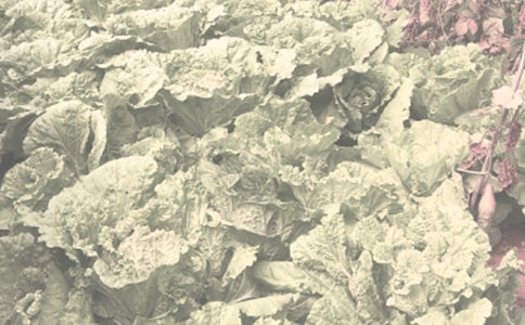 ũ�����Ѵ���������������ģ�ͨ��15ƪ��