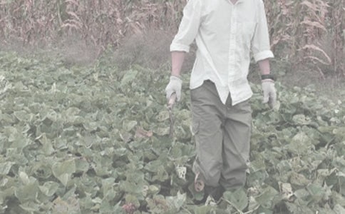 ũ�����ֺ�ͬ4ƪ