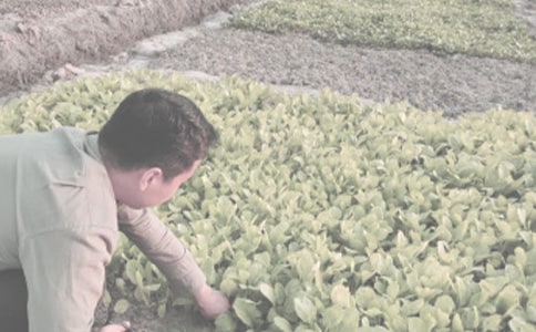 ����ũ�����ֺ�ͬ���İ�ƪ