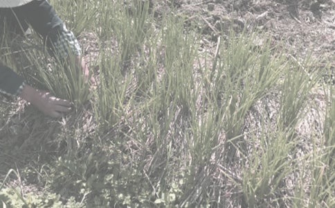 ũ����������ͬ