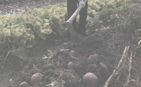 ũ��������������ͬ(��ѡ15ƪ)