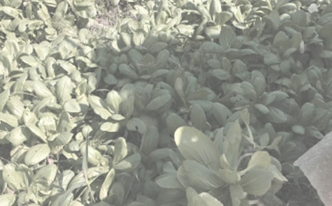 ũ��������������ͬ(����15ƪ)