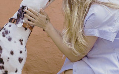 �Ƽ�20��Ů��������ҵ����Ŀ