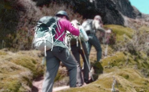 ����ɽ�������12ƪ��ʵ�ã�