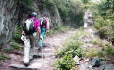 ������ɽ���Ľ�˵�θ�