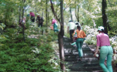 ��ɽ���ĽŽ̰���ѡ15ƪ