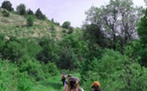 ��ɽ���ĽŶ���У���ѡ15ƪ��