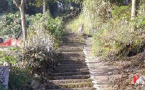 ��ɽ���ĽŽ̰�����