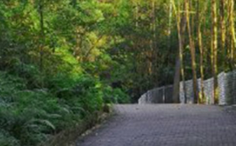 �й���ɽ�̰�������ƪ