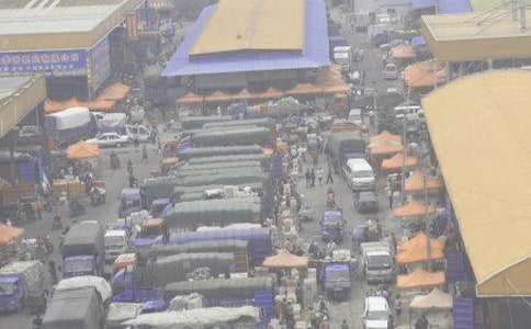 ������ͬ�ϼ�ʮƪ