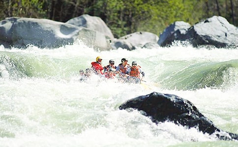 ��³����Ư���ǡ��������ѡ[14ƪ]