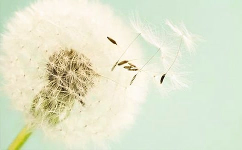 ���ѹ�Ӣ����ѧ��˼����ѡ22ƪ��