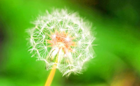 ���ѹ�Ӣ�����ӡ��̰�7ƪ