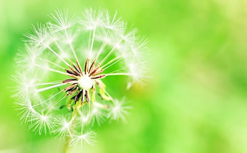 2022���ѹ�Ӣ�жӰ༶�ںţ���ѡ170�䣩