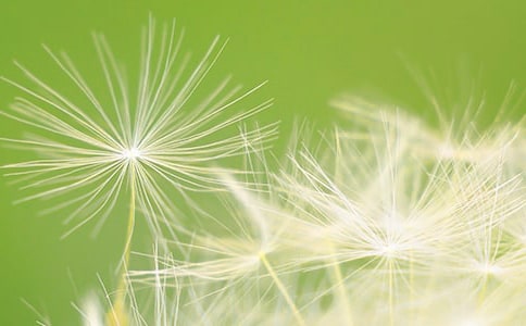 ���ѹ�Ӣ�����ӡ����Ľ�ѧ��˼