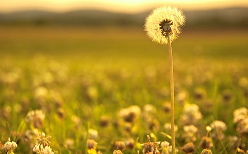 ���ѹ�Ӣ������̰�