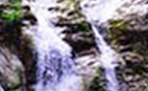 �������ٲ�����л��15ƪ