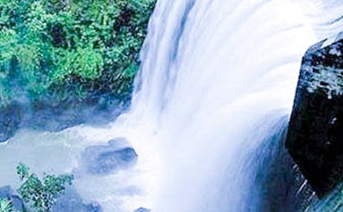 ���������ٲ����̰���Ʒ���