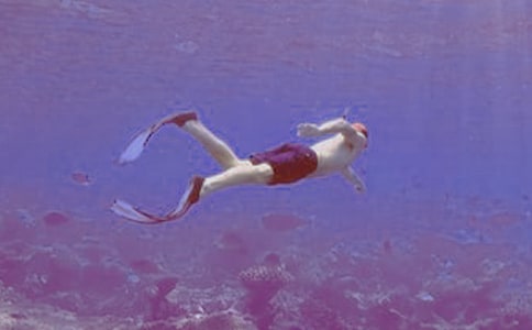 ����Ǳˮ����Ǳˮ��Ա��ͬ(6ƪ)