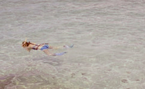 ����Ǳˮ����ͬ(����9ƪ)