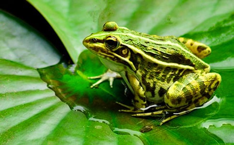 С���������½̰�����˼