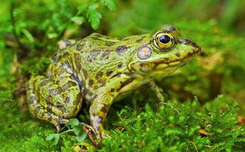 С�����Ҽҽ̰�����ѡ23ƪ��