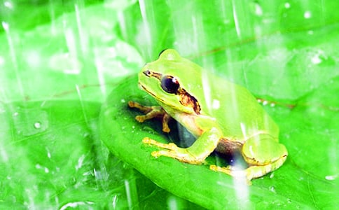 ��С�����Ҽҡ��̰�(���15ƪ)