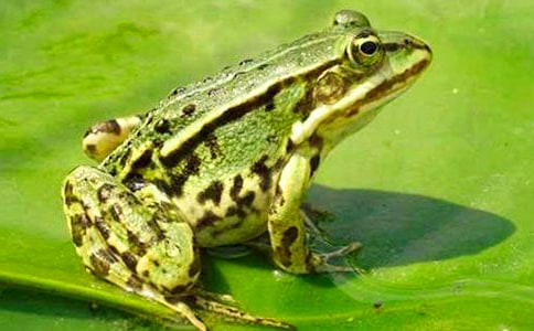 �������Ӷ����6ƪ