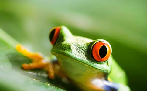 ���ܾ��Ű���������